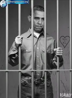 obama-behind-bars.webp