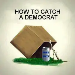 catch a democrat.webp