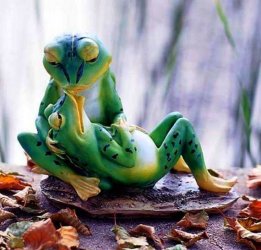 froggy love.jpg