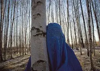 $finnish burka babe.webp