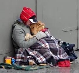 $homeless-and-dog.webp