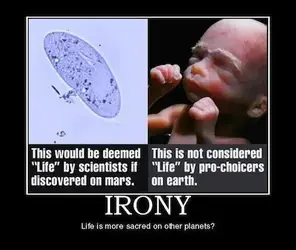 $irony_life-mars_vs_life-earth.webp