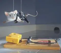 $supermouse.webp