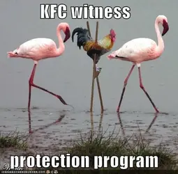 $KFC-witness-protection-program.webp