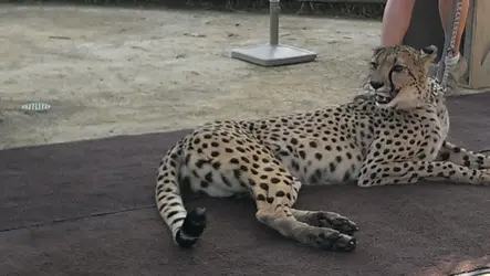 $2013-05-20 15.53.45.webp