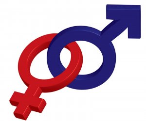 male female symbol.JPG