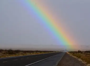 rainbow8.webp