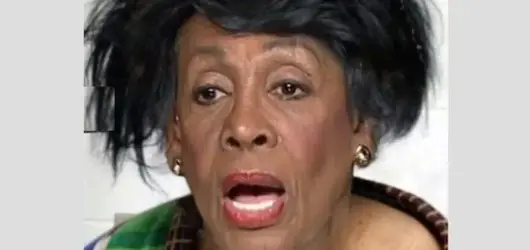 maxine-waters.webp