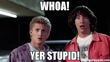 whoa-yer-stupid-meme-50387.webp