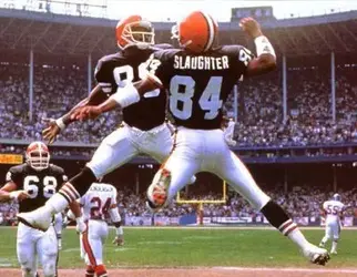 browns1.webp