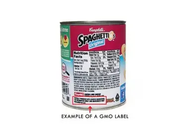 F160471_SpaghettiOs_New_Labels-0091.webp F160471_SpaghettiOs_New_Labels-0091.webp