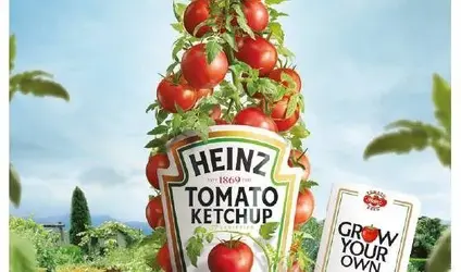 Grow-your-own-559x330.webp