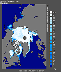 $05-2008_arctic_sea_ice_concentration.gif