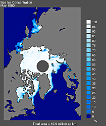 $05-1980_arctic_sea_ice_concentration.gif