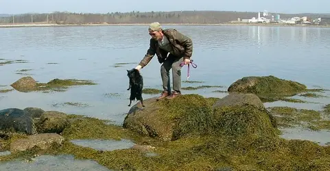 $Guy and Bierchi.webp