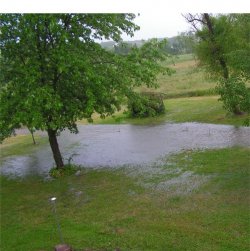 $yard flood 2.jpg