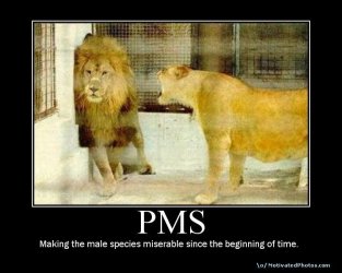 $PMS.jpg