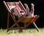 $percysunshine.webp