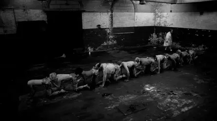 $The Human Centipede II Full Sequence 13.webp