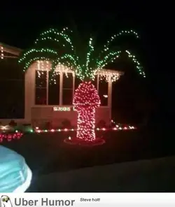 $why floridians should never put lights on palm trees.webp