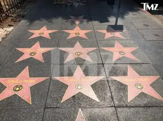 Trump Stars.webp