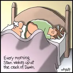 dawn.webp