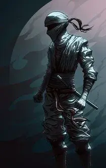 ninja2.webp