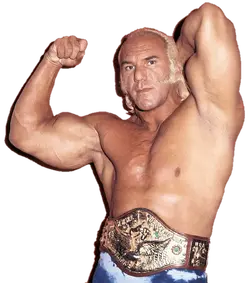 superstar_billy_graham_wwe_champion_by_nuruddinayobwwe-dbasvvr.webp