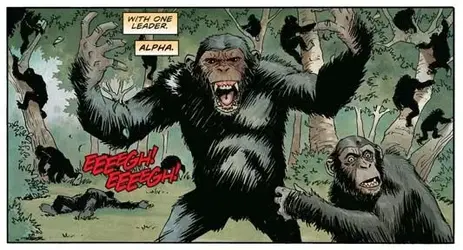 ape1.webp
