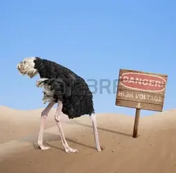 33921670-scared-ostrich-burying-head-in-sand-under-danger-sign.webp