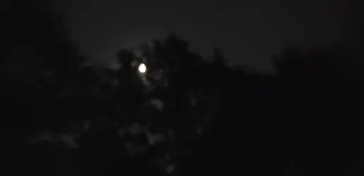 20180920_201506.webp