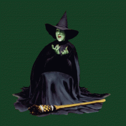 EminentNeighboringKiskadee-small.gif EminentNeighboringKiskadee-small.gif