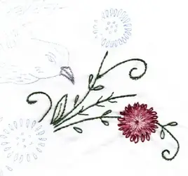 $birdy square 1,6 Strawflower.webp