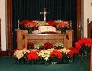 $! Christmas poinsettias, tiny.webp