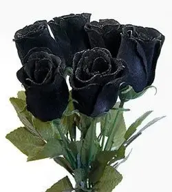 $blackroses.webp