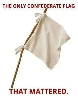 $only confederate flag that mattered.webp