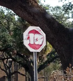 $stop sign near shelter.webp