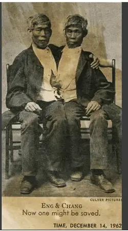 $Screen Shot 2014-02-26 at 6.01.17 AM.webp