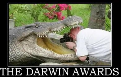 $Screen Shot 2014-03-15 at 8.38.43 AM.webp