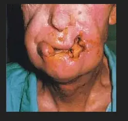 $Screen Shot 2014-03-15 at 11.28.16 AM.webp