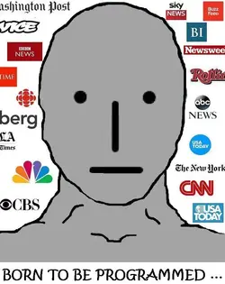 NPC_programmed.webp