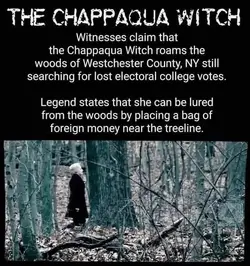 Hillary tree witch.webp