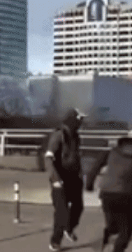 1514097929400.gif
