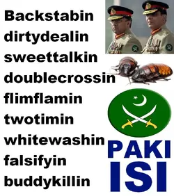 $backstabinpaki.webp