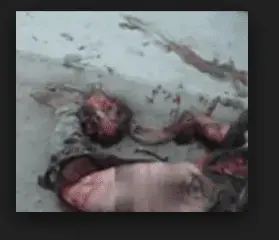 $Screen Shot 2014-06-12 at 4.01.11 PM.webp