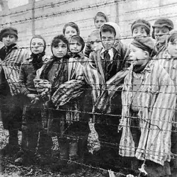 $camp_children.webp