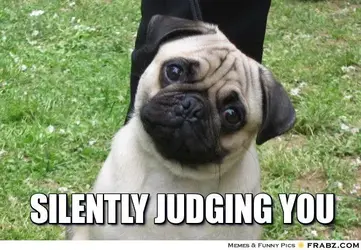 $Silently Judging You.webp