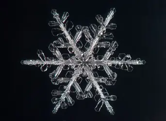 $Star of David snowflake mg_6632.webp