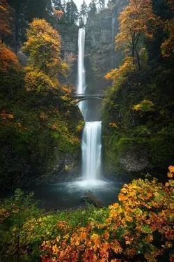 multnomah-falls-fall-landscape.webp