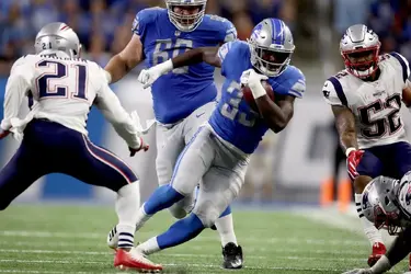 lions1.webp
